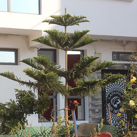 Lafamilia Surf Imsouane Otel Dış mekan fotoğraf