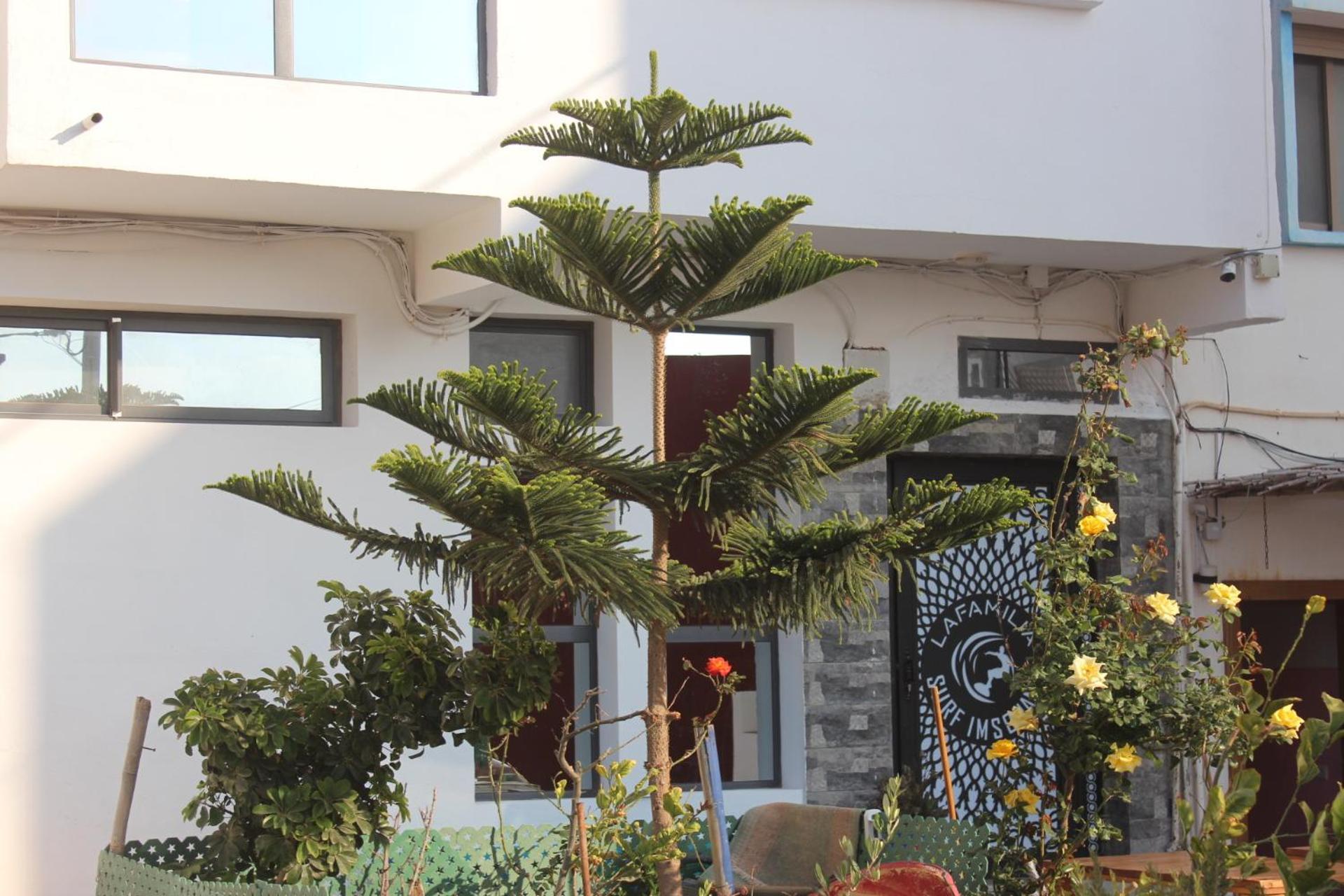 Lafamilia Surf Imsouane Otel Dış mekan fotoğraf